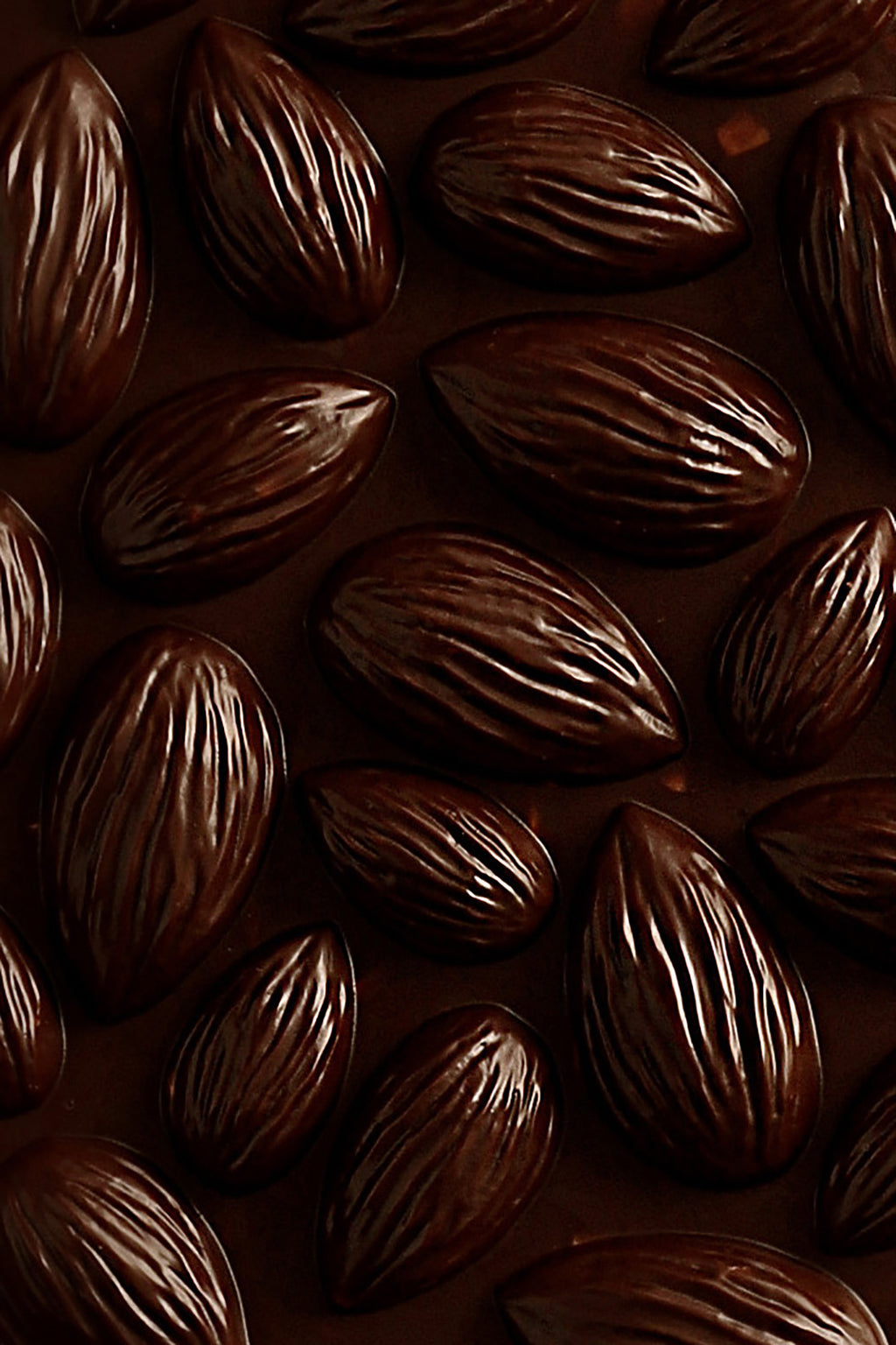 Dark chocolate almond mendiant tablet