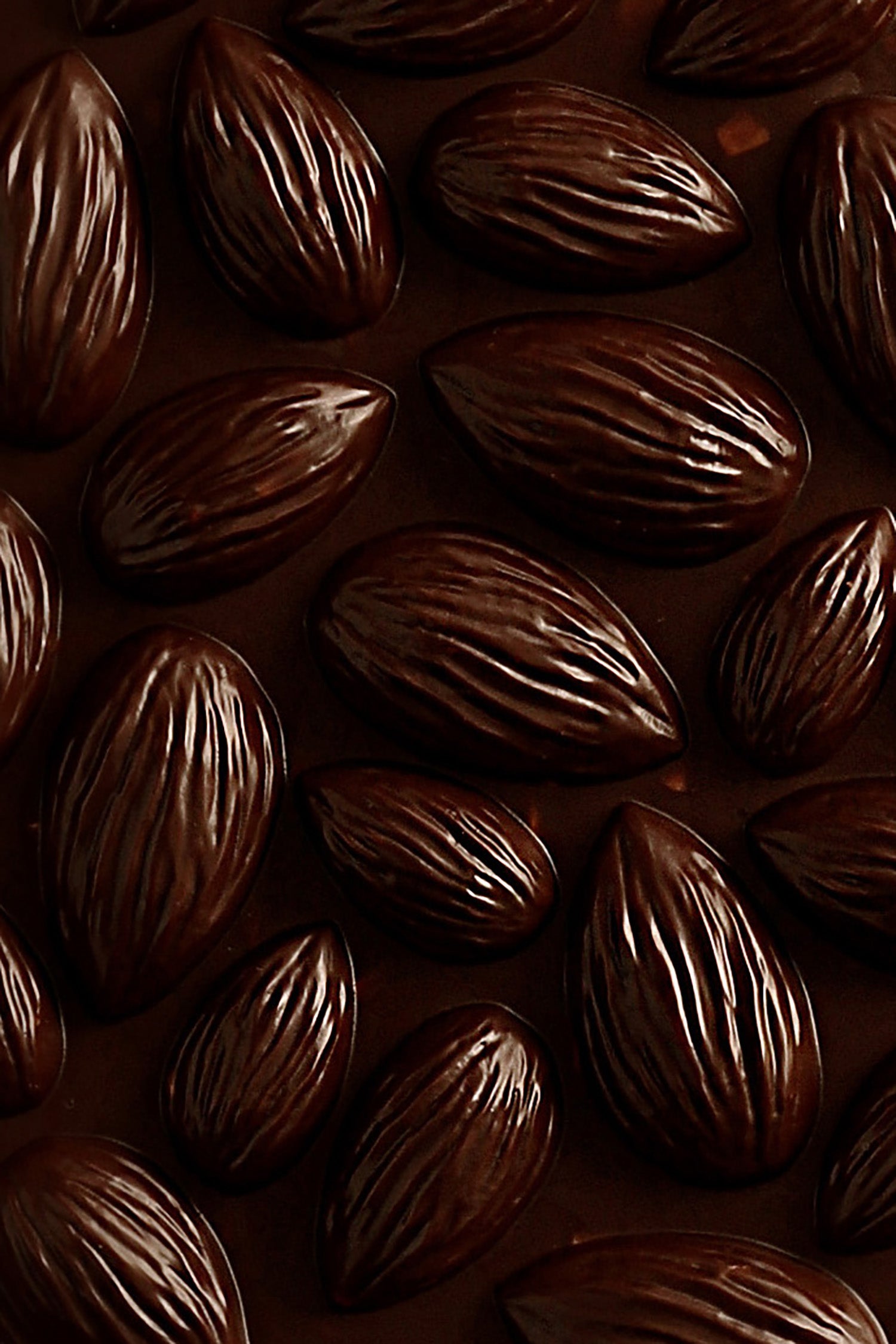 Dark chocolate almond mendiant tablet