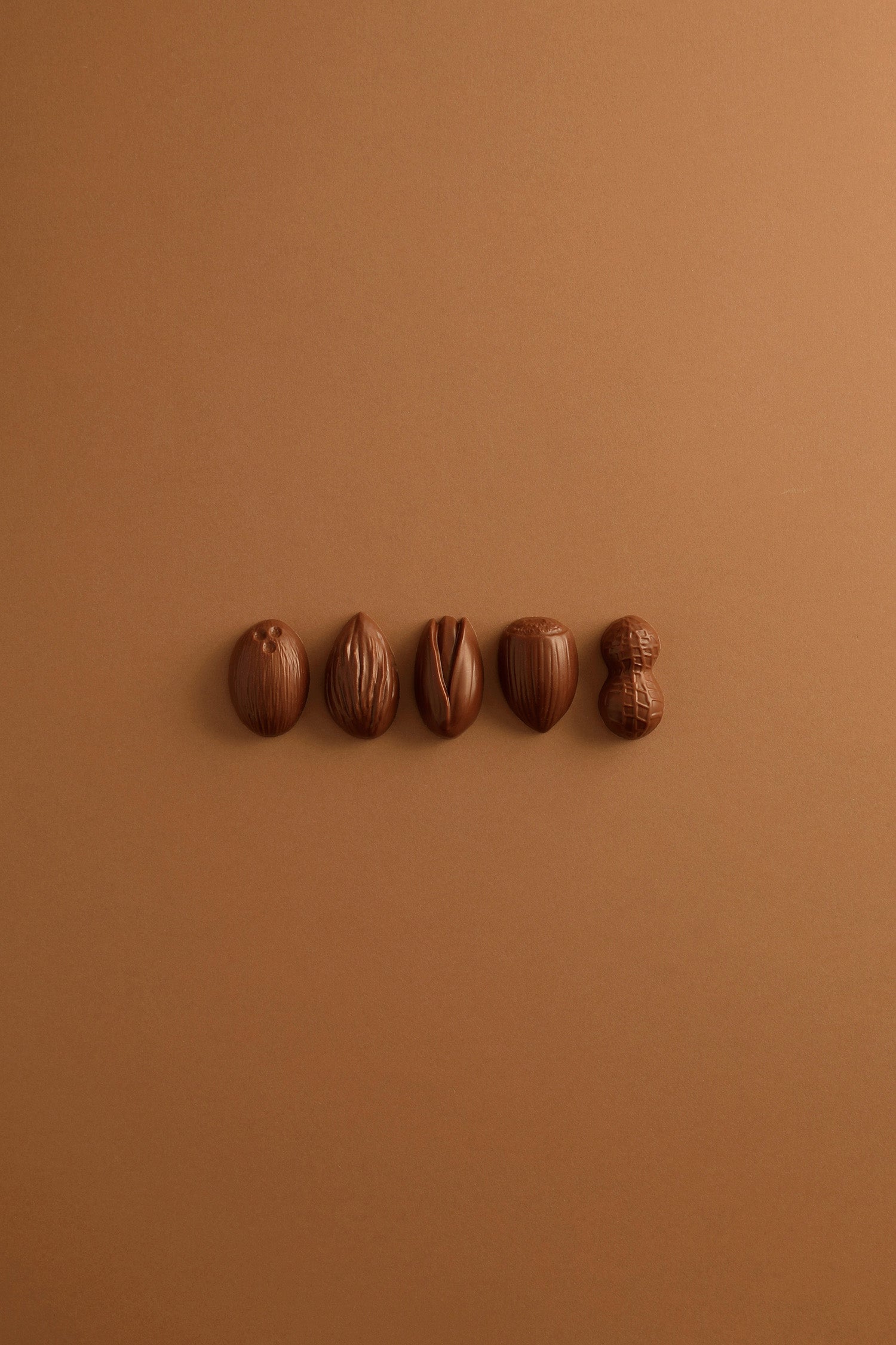 5-piece milk chocolate candy