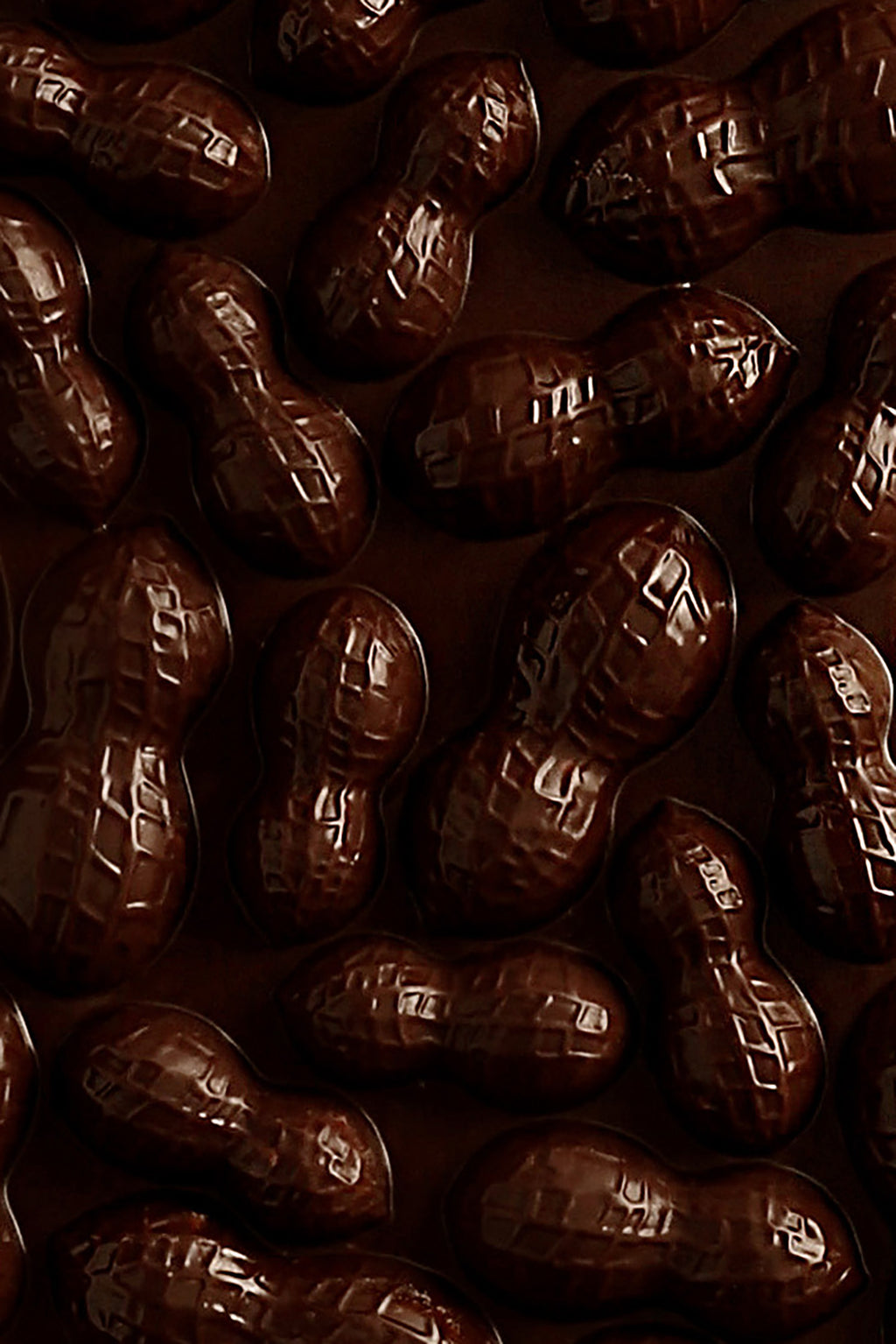 Peanut and dark chocolate mendiant tablet