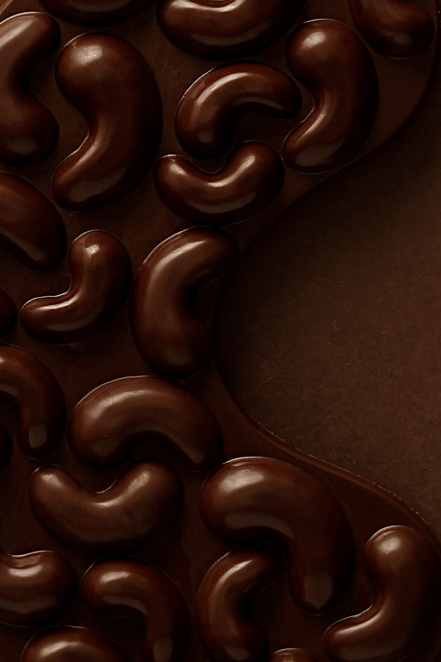 Mendiant cashew dark chocolate tablet