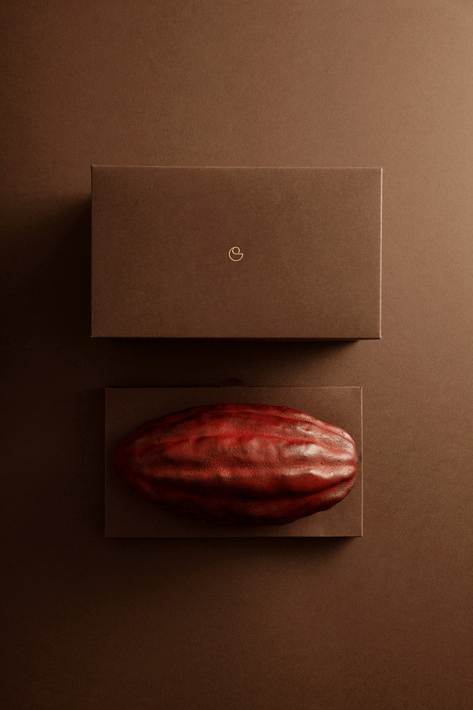 Cocoa pod cake