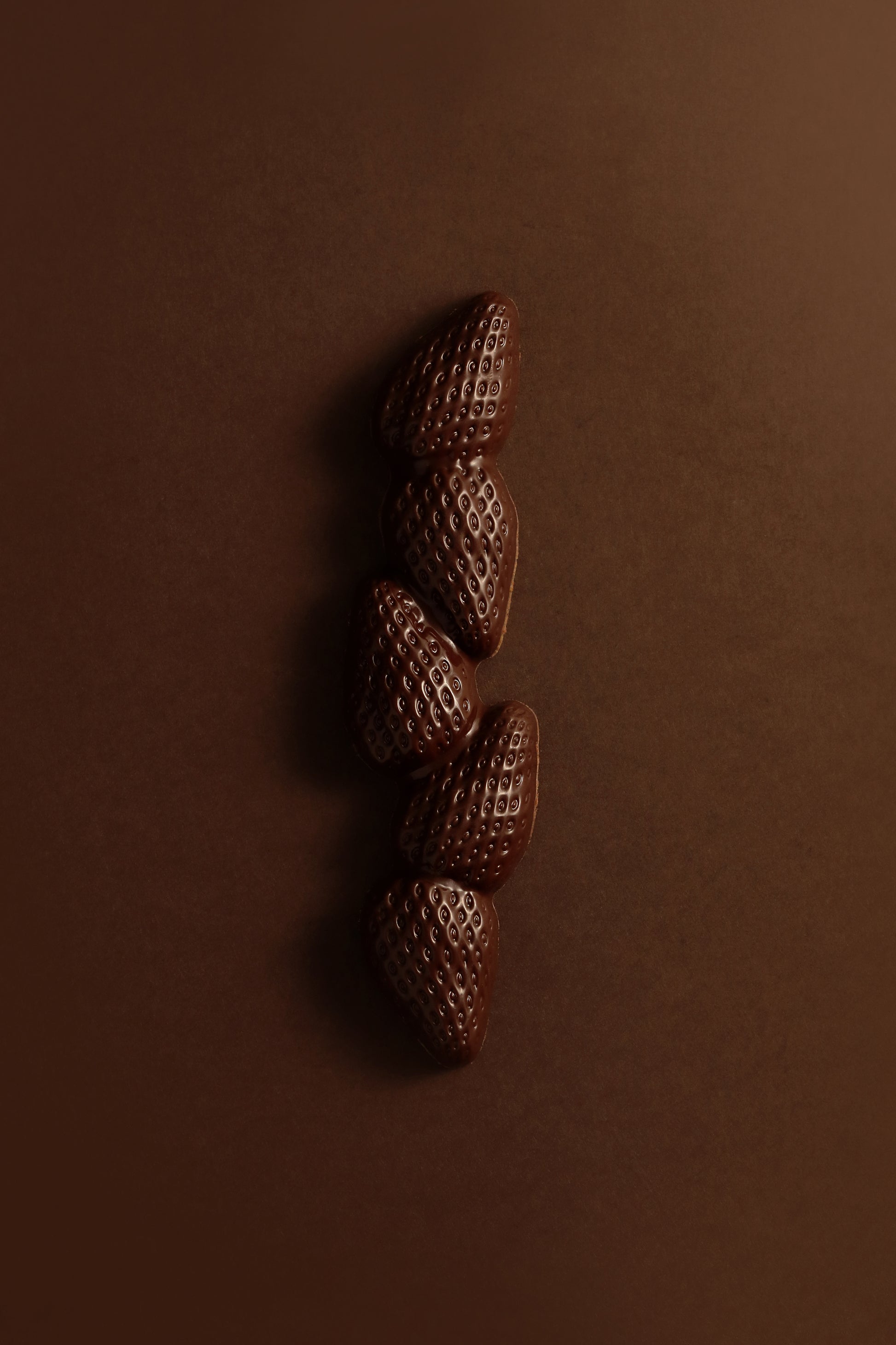 Barre fraise chocolat noir