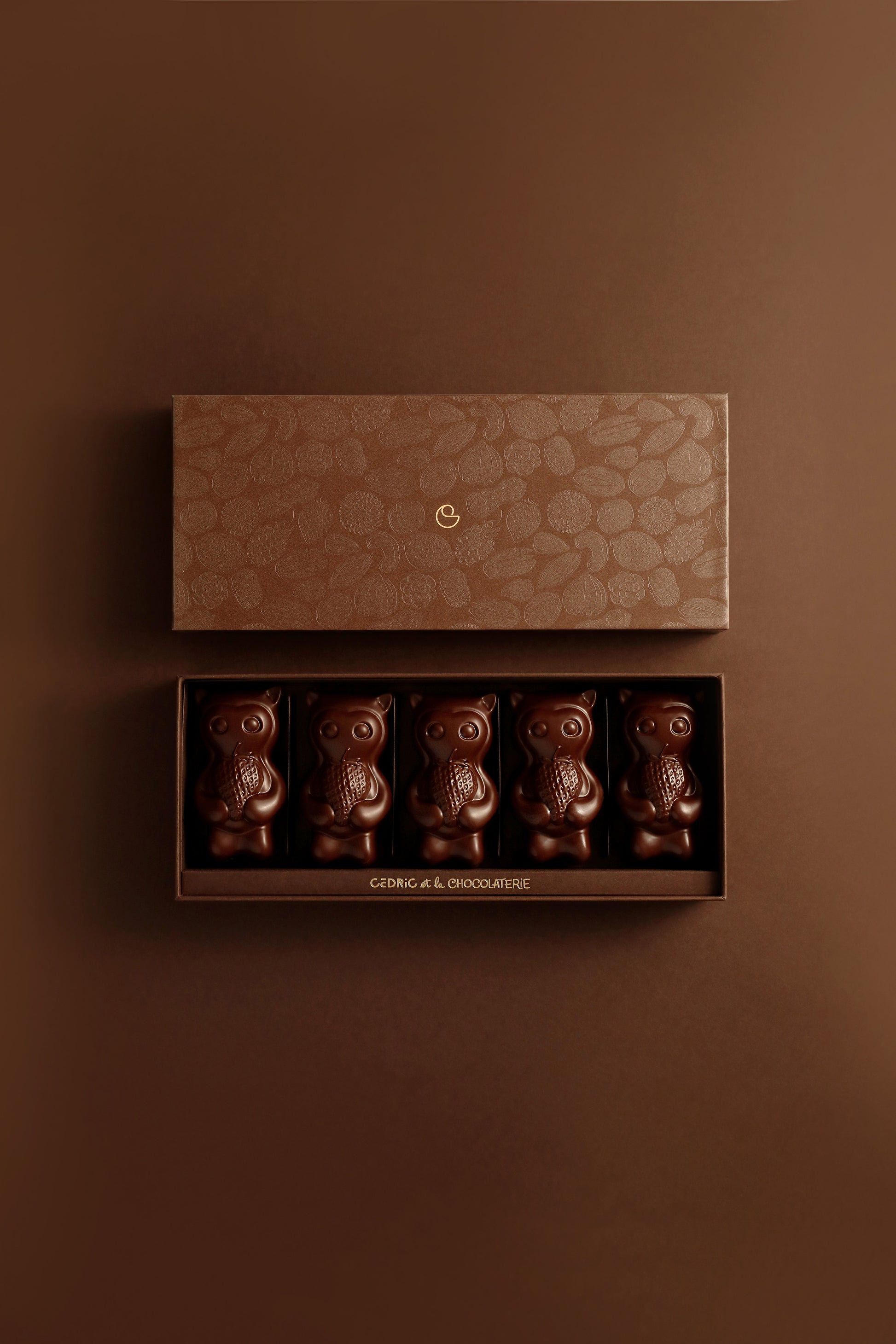 Cedrico vanille fraise 5 pièces chocolat noir