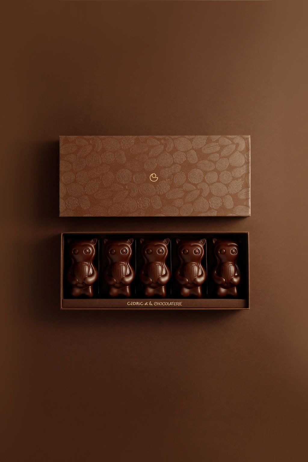 Cedrico vanille noisette 5 pièces chocolat noir
