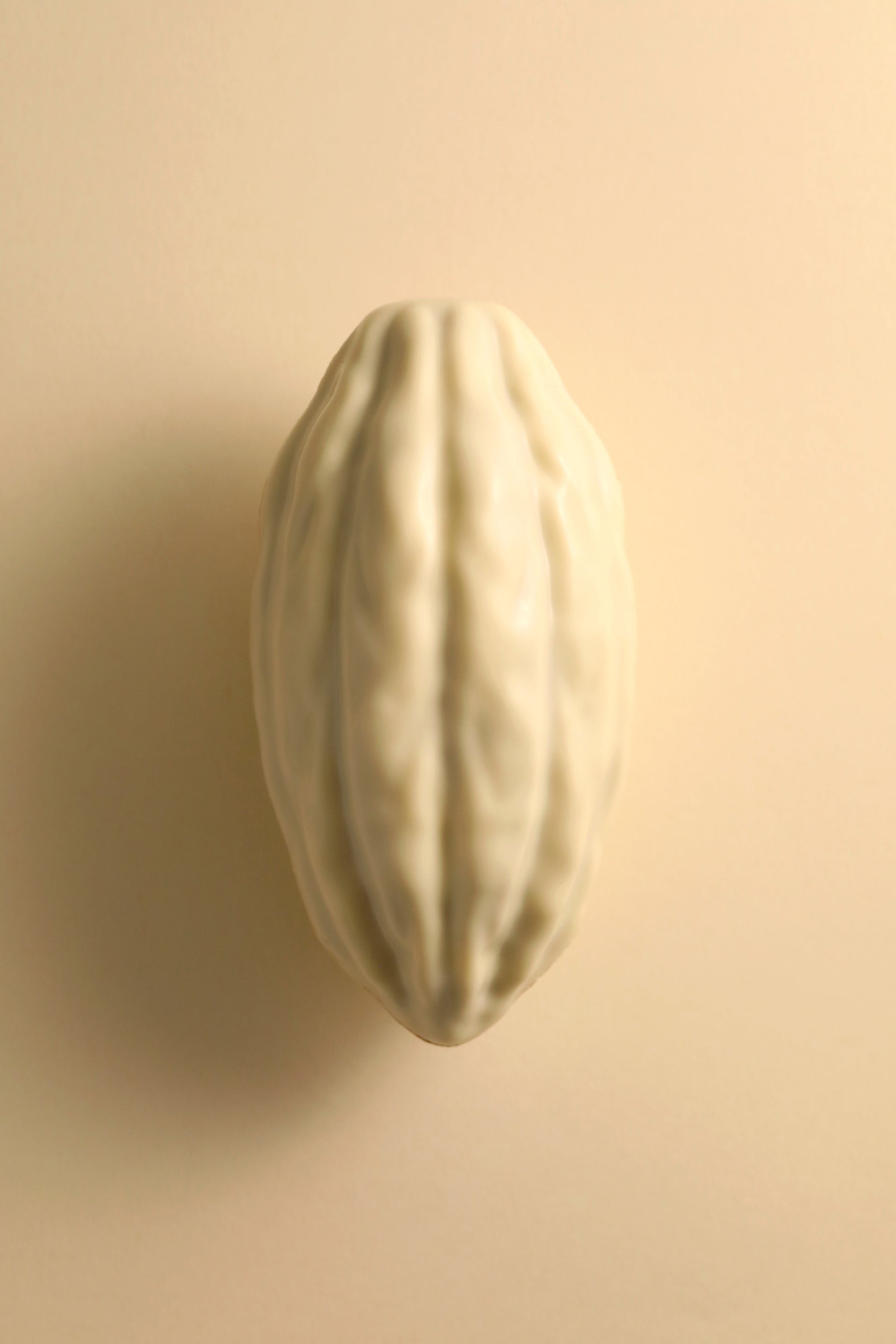 Cabosse chocolat blanc