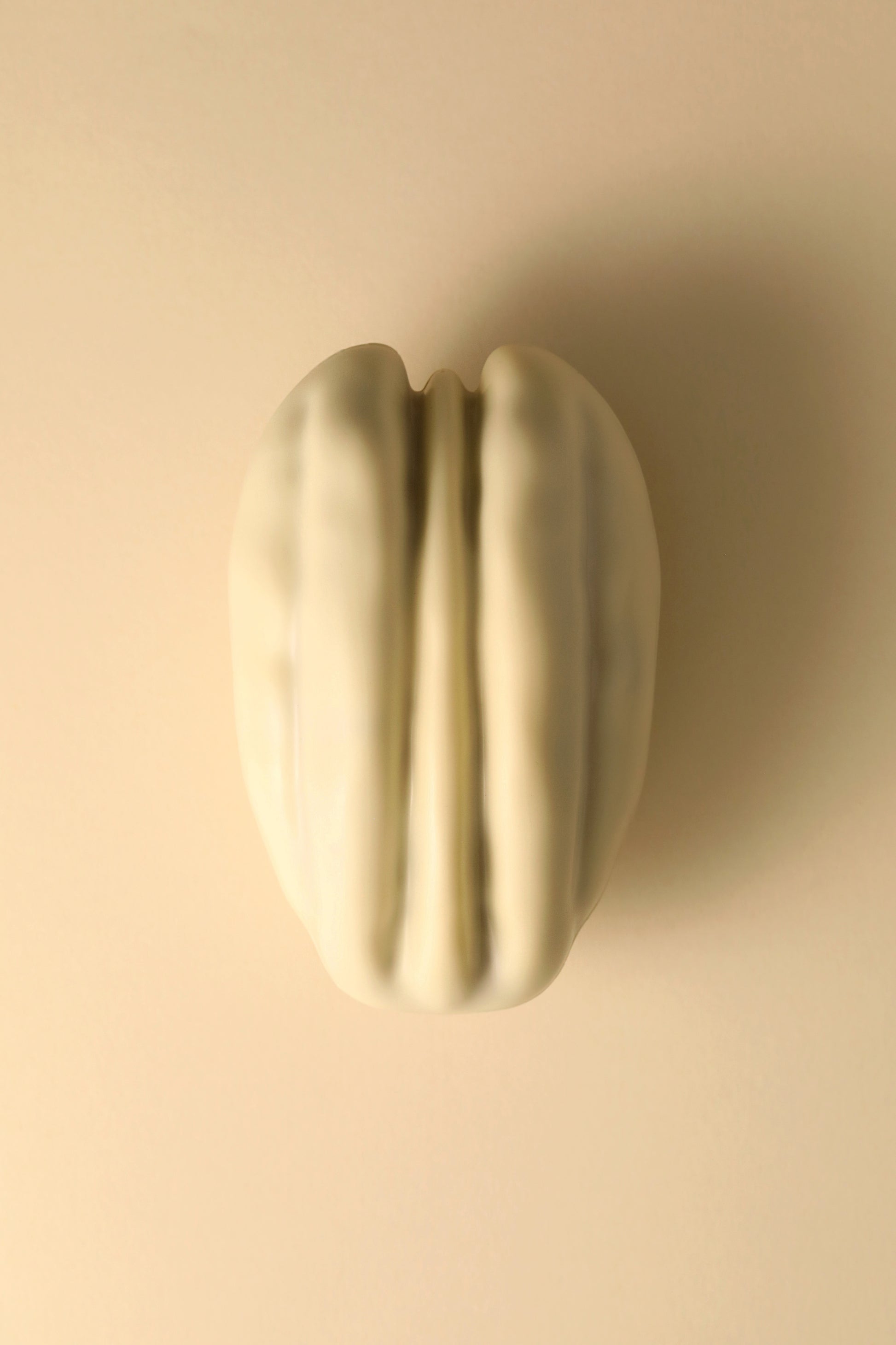 Pécan chocolat blanc