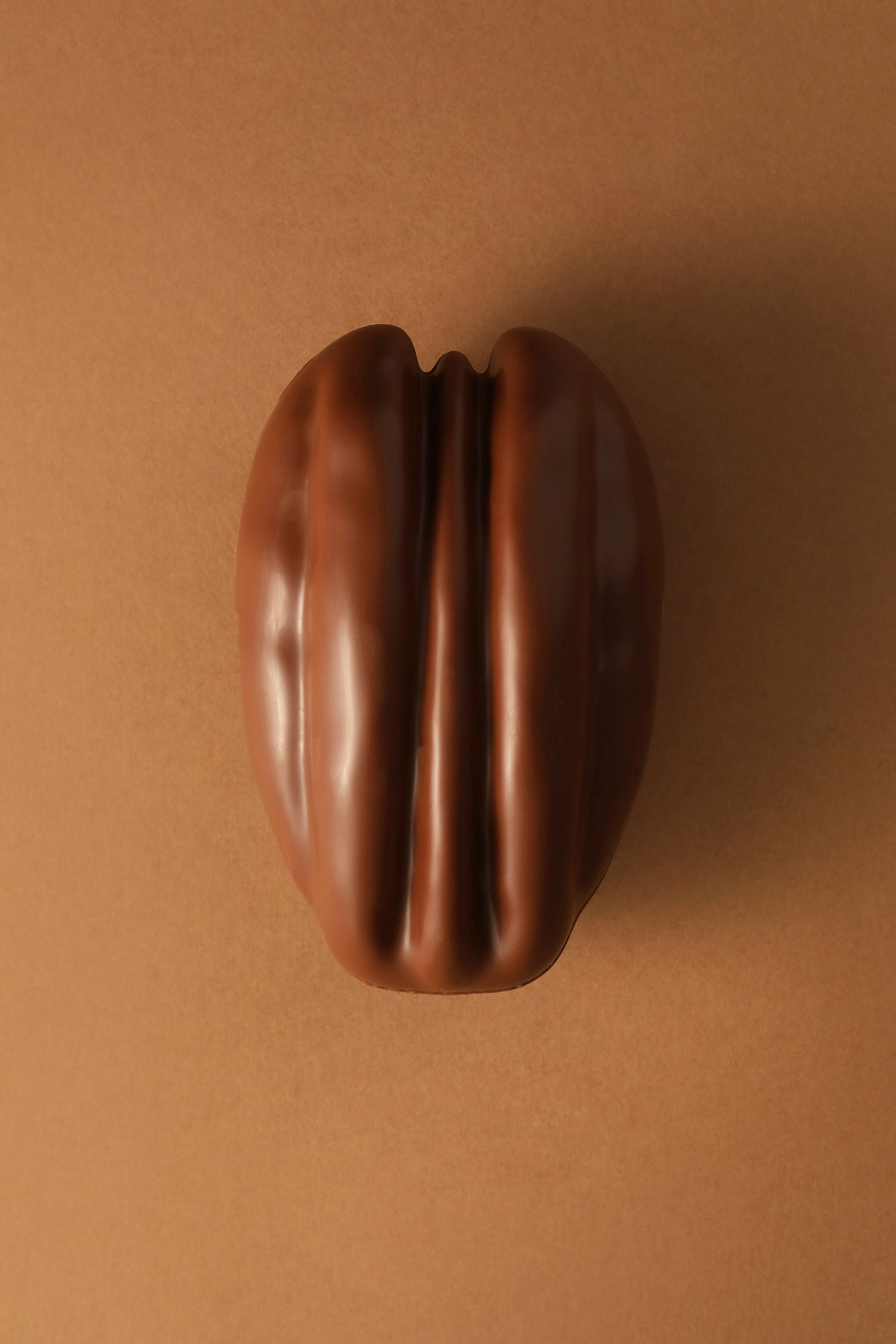 Pécan chocolat au lait