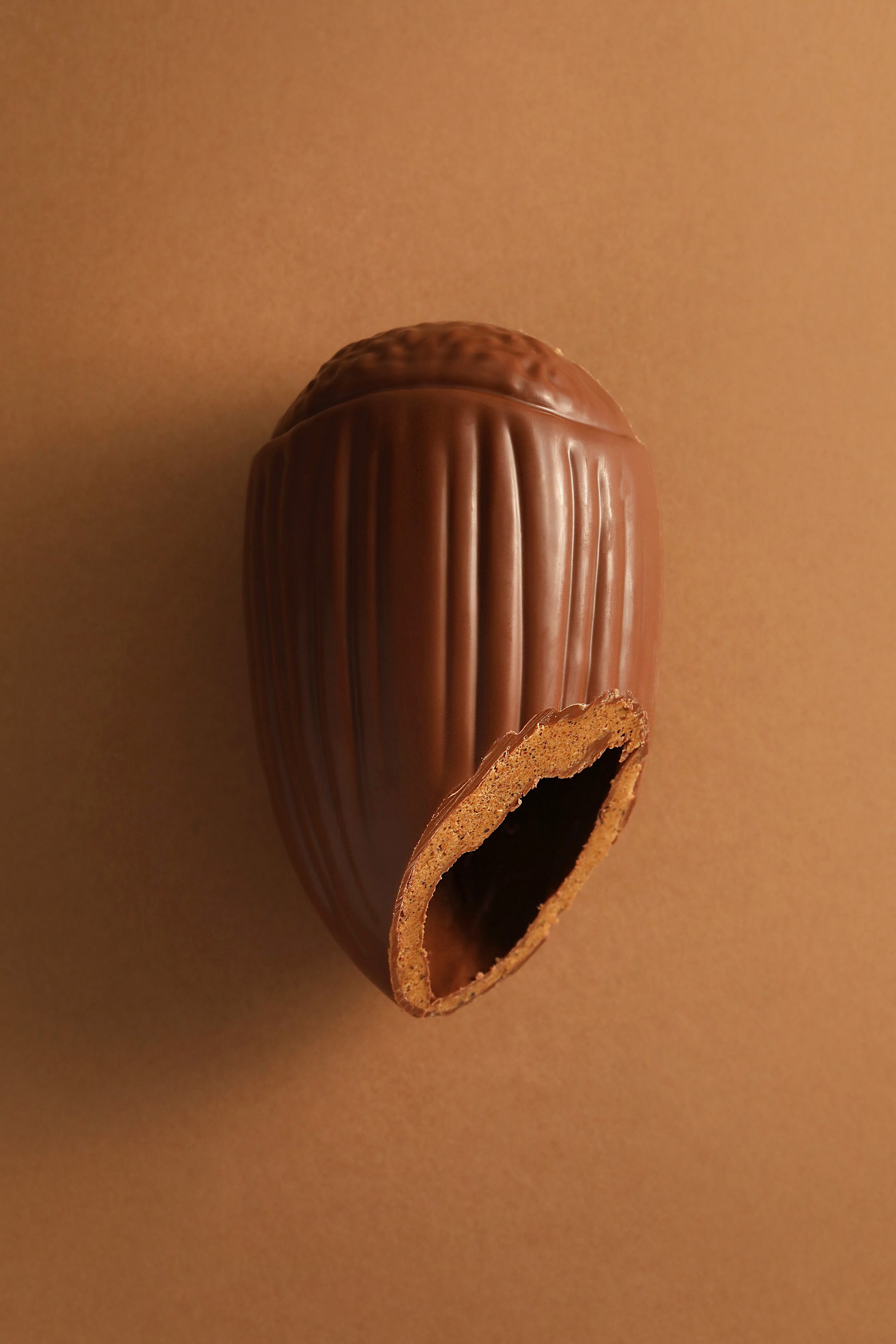 Noisette chocolat au lait