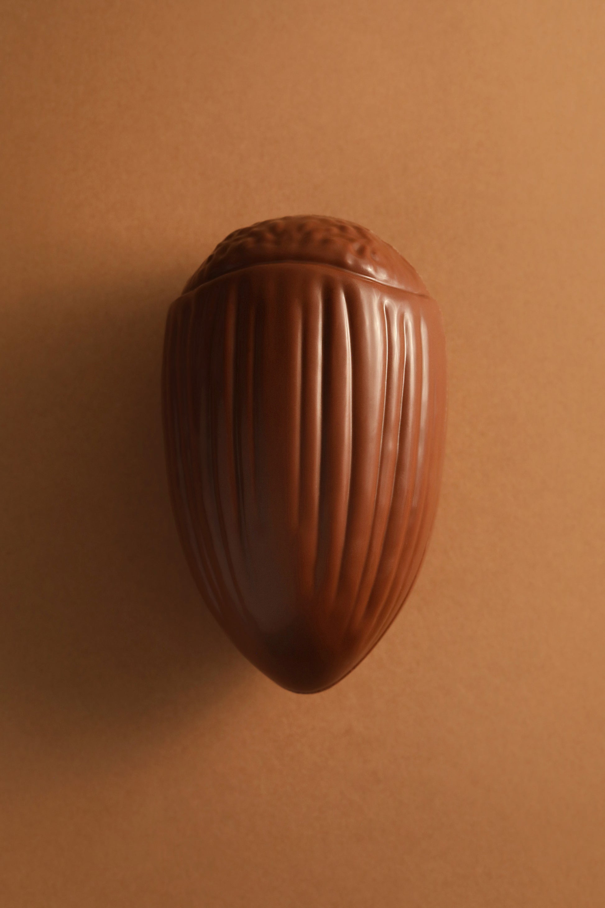 Noisette chocolat au lait