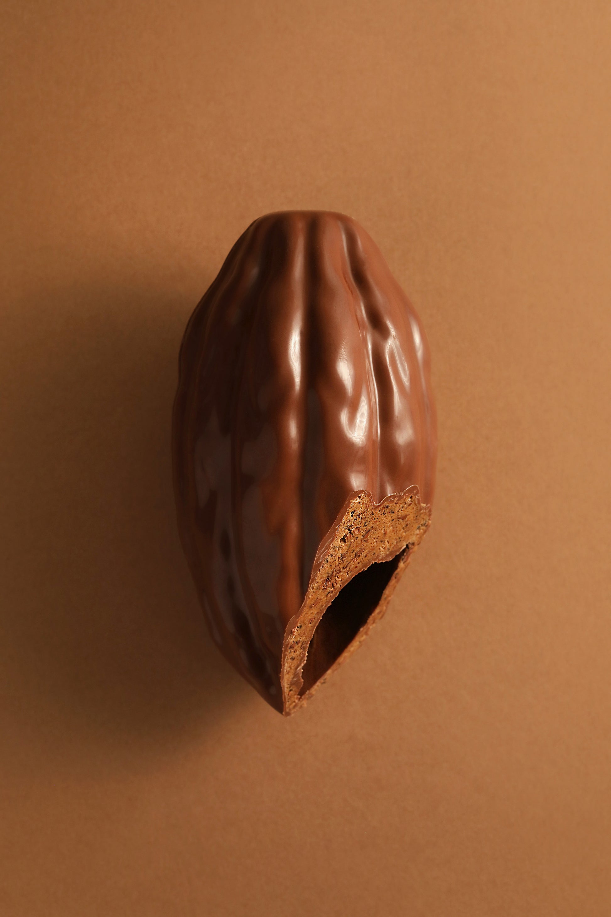 Cabosse chocolat au lait