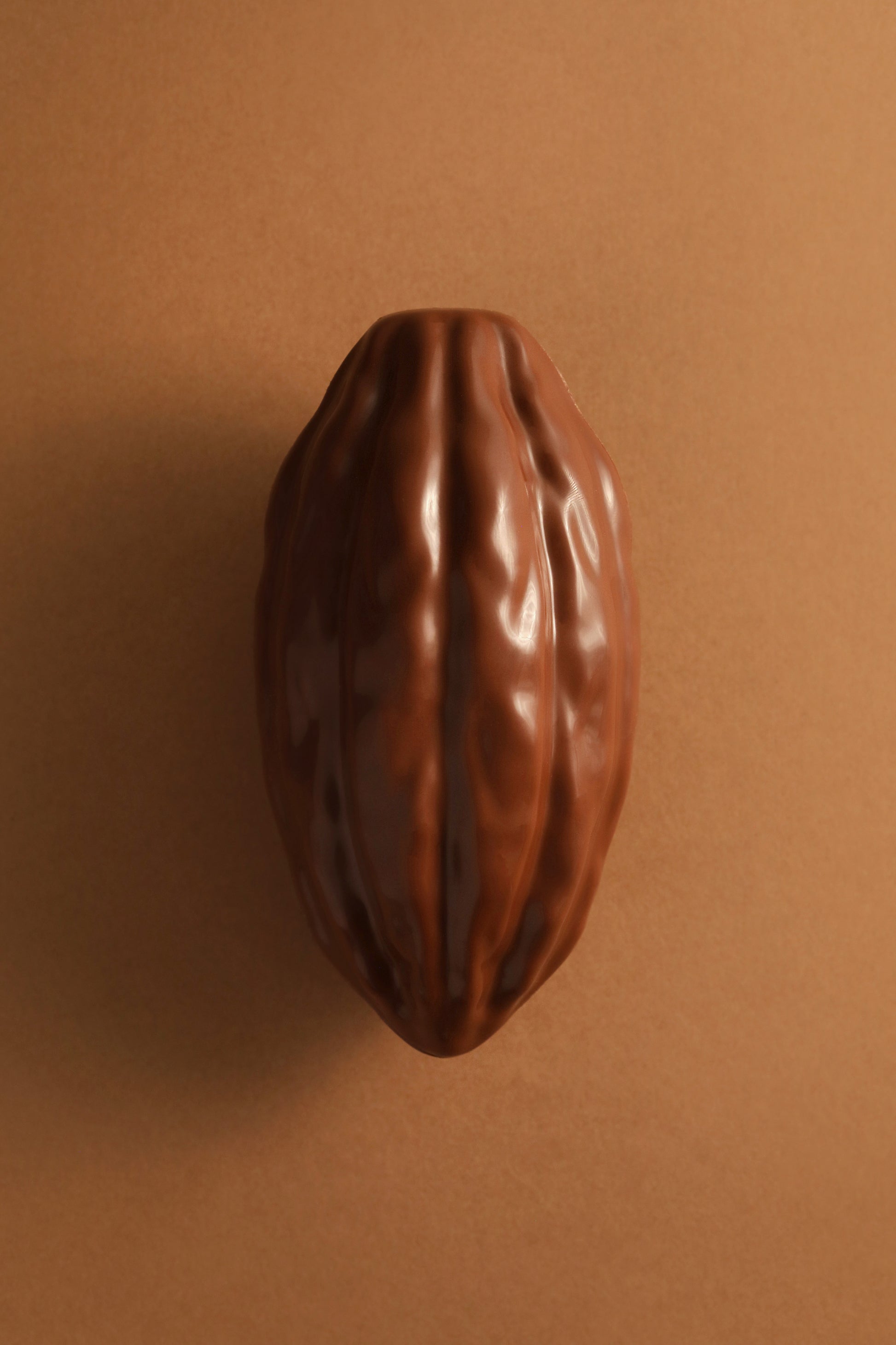 Cabosse chocolat au lait