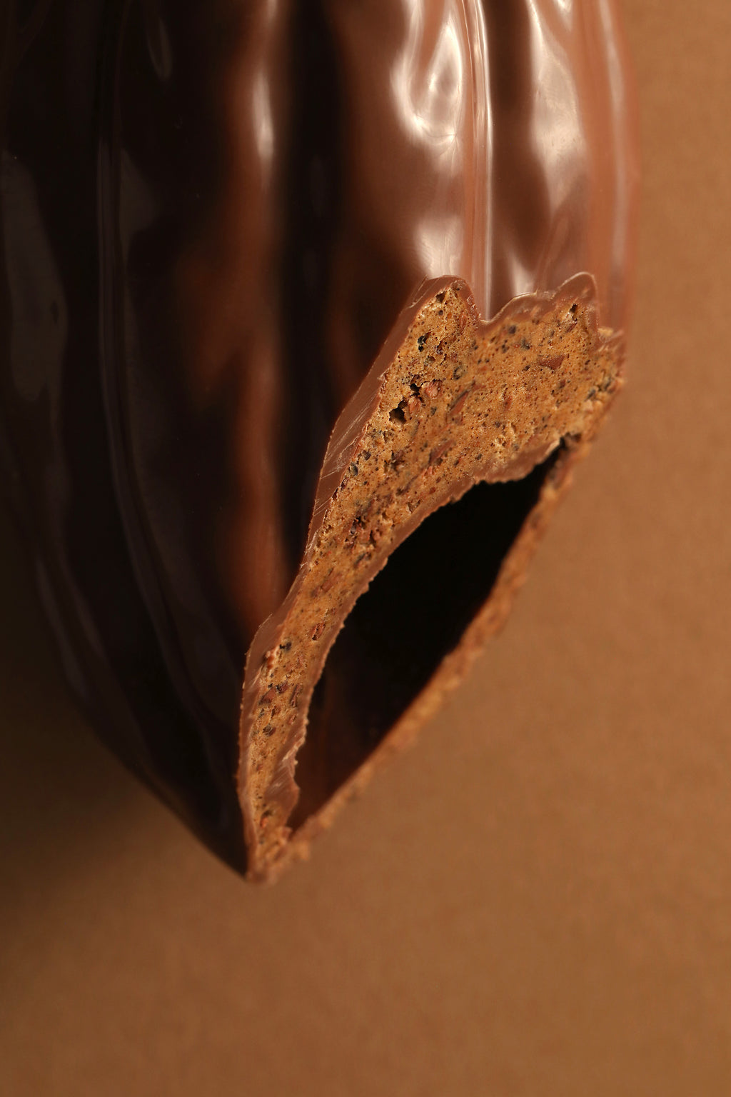 Cabosse chocolat au lait