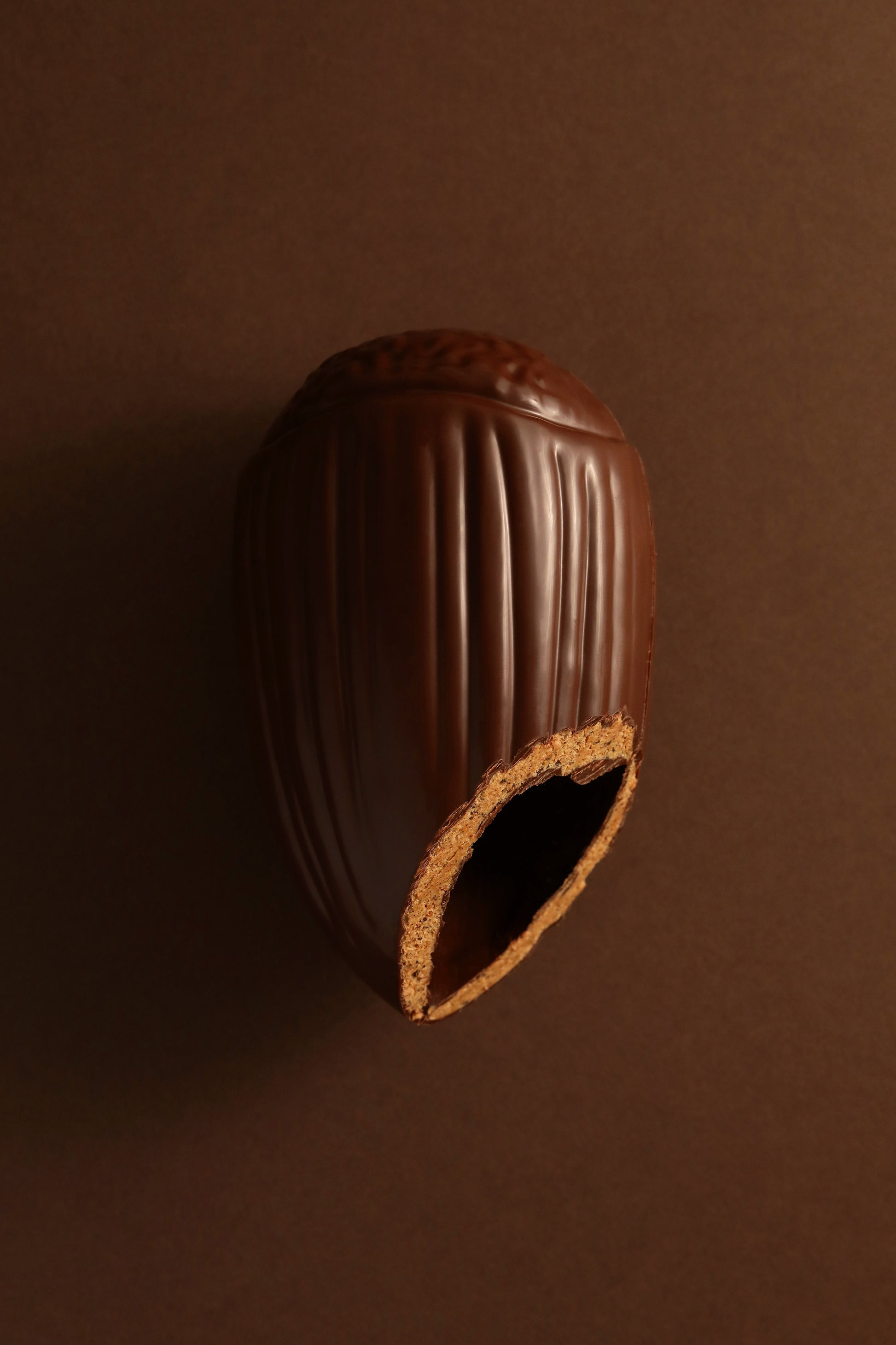 Noisette chocolat noir