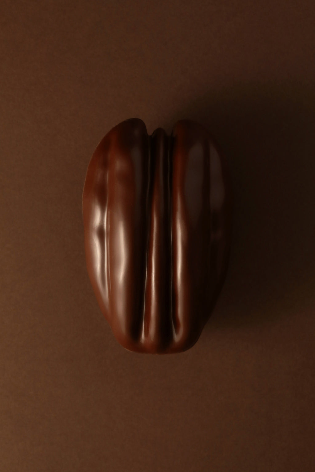 Pécan chocolat noir