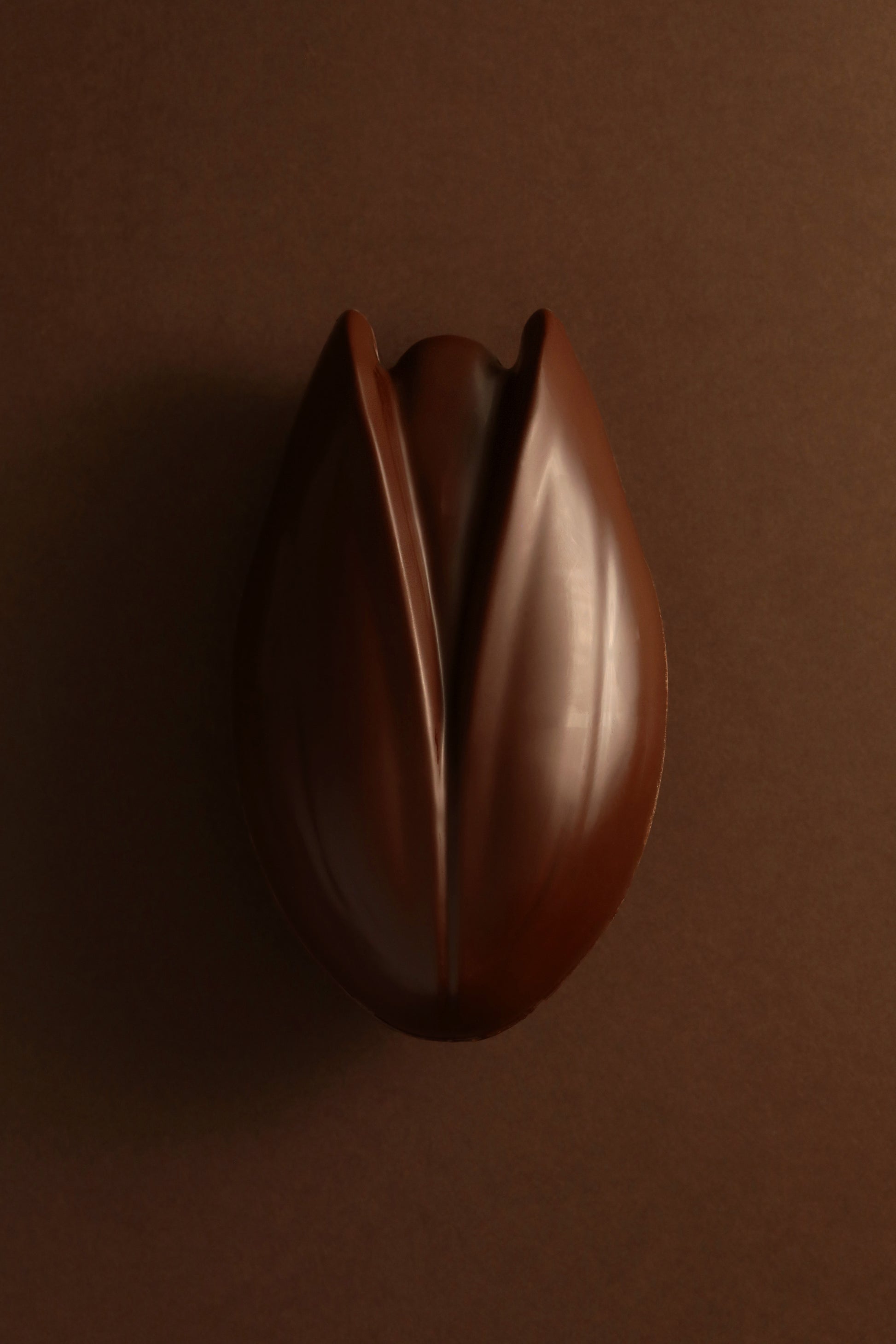 Pistache chocolat noir