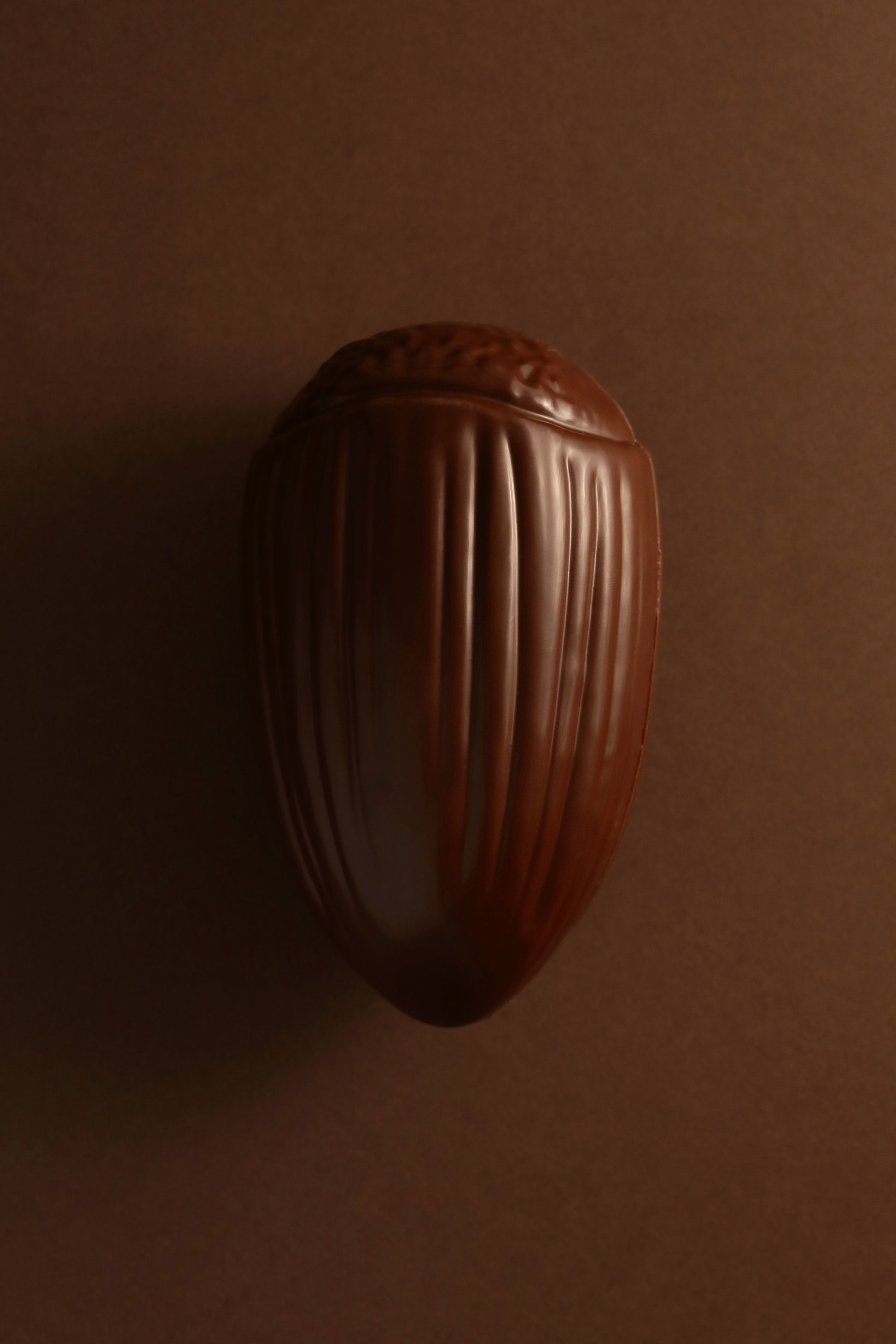 Noisette chocolat noir