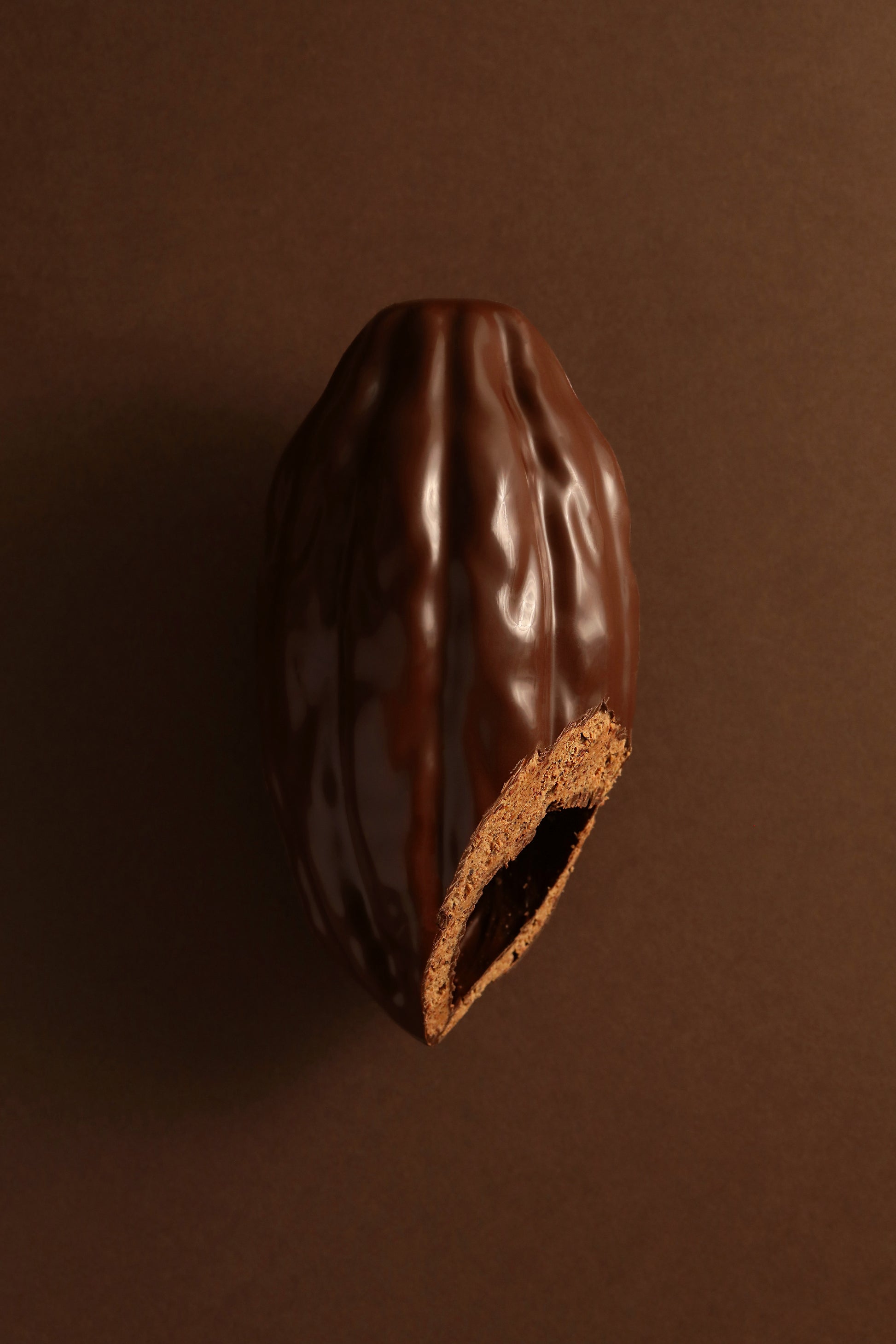 Cabosse chocolat noir