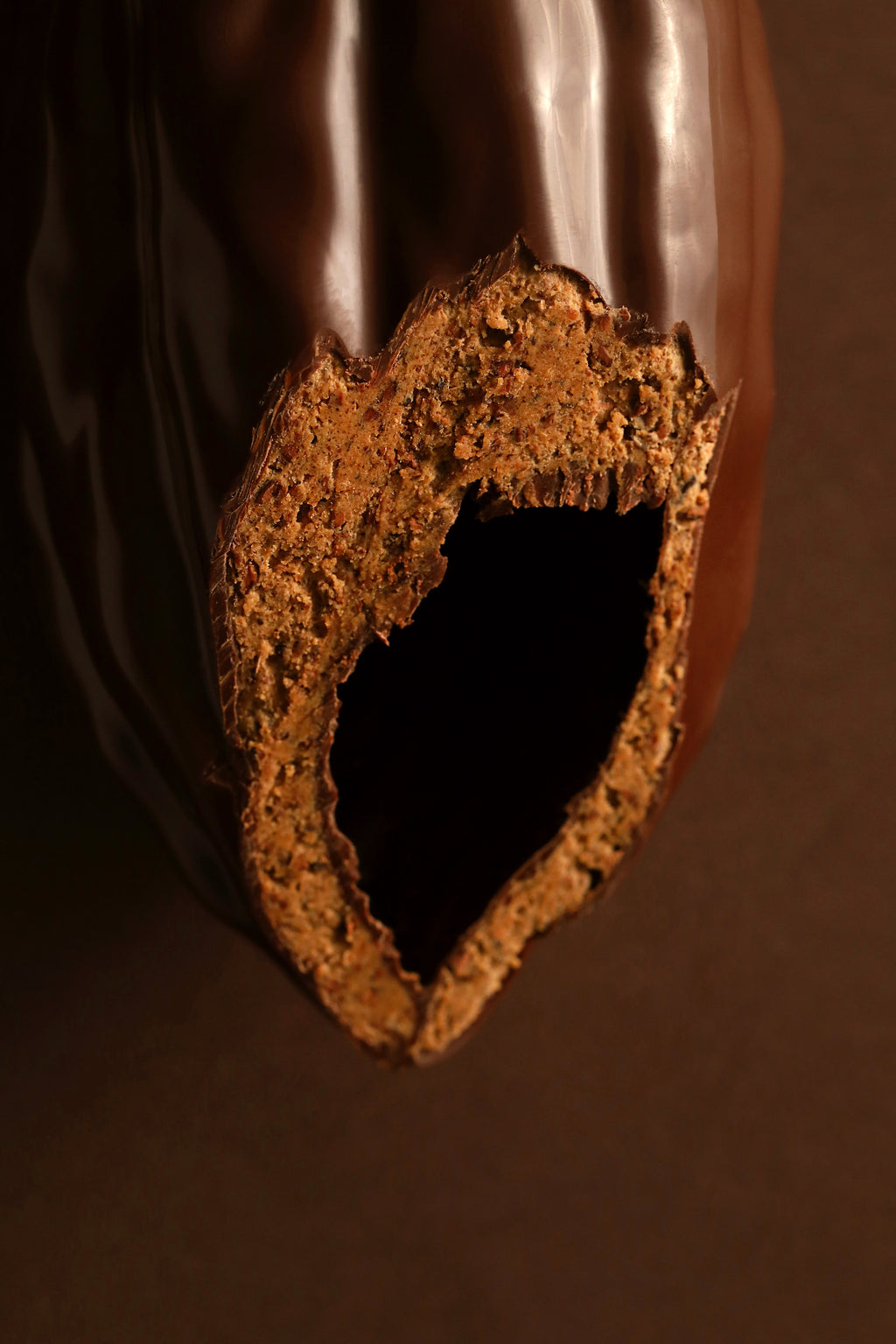 Cabosse chocolat noir