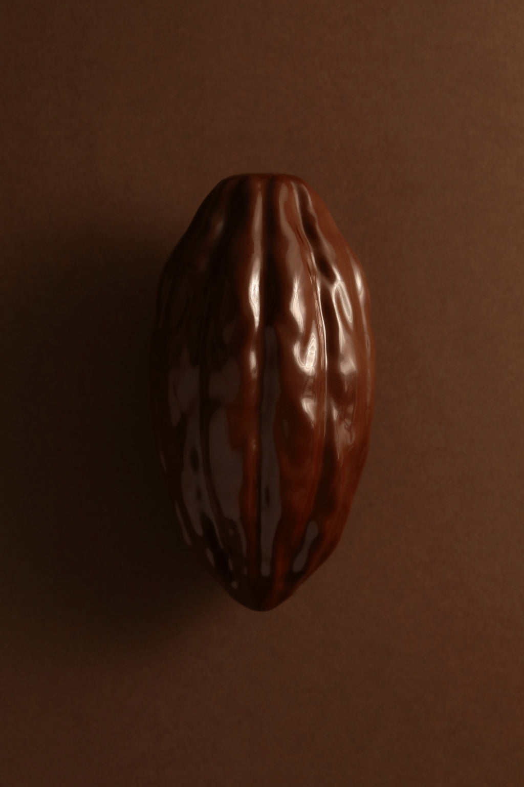 Cabosse chocolat noir