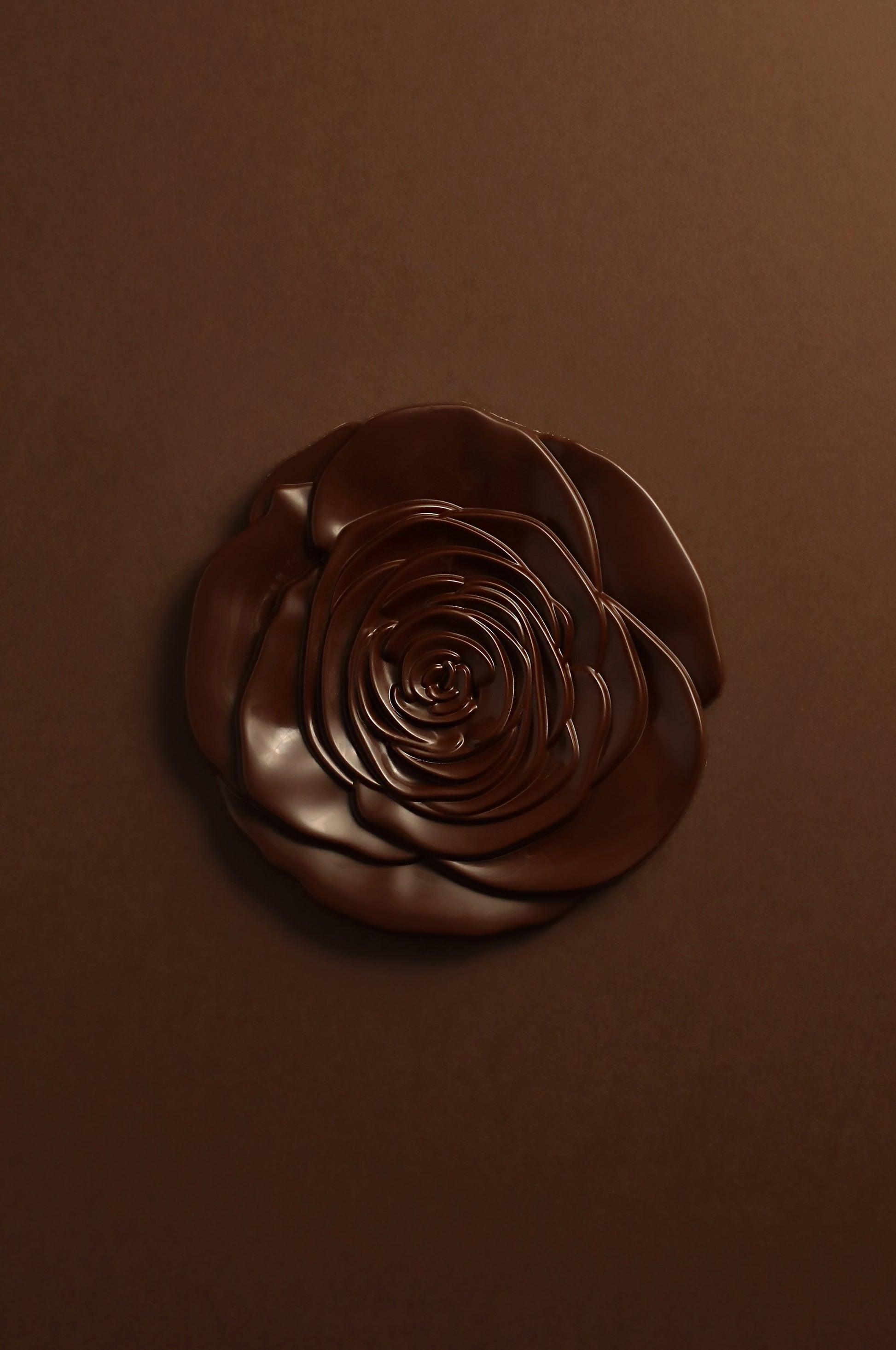 Rose des Sables chocolat noir