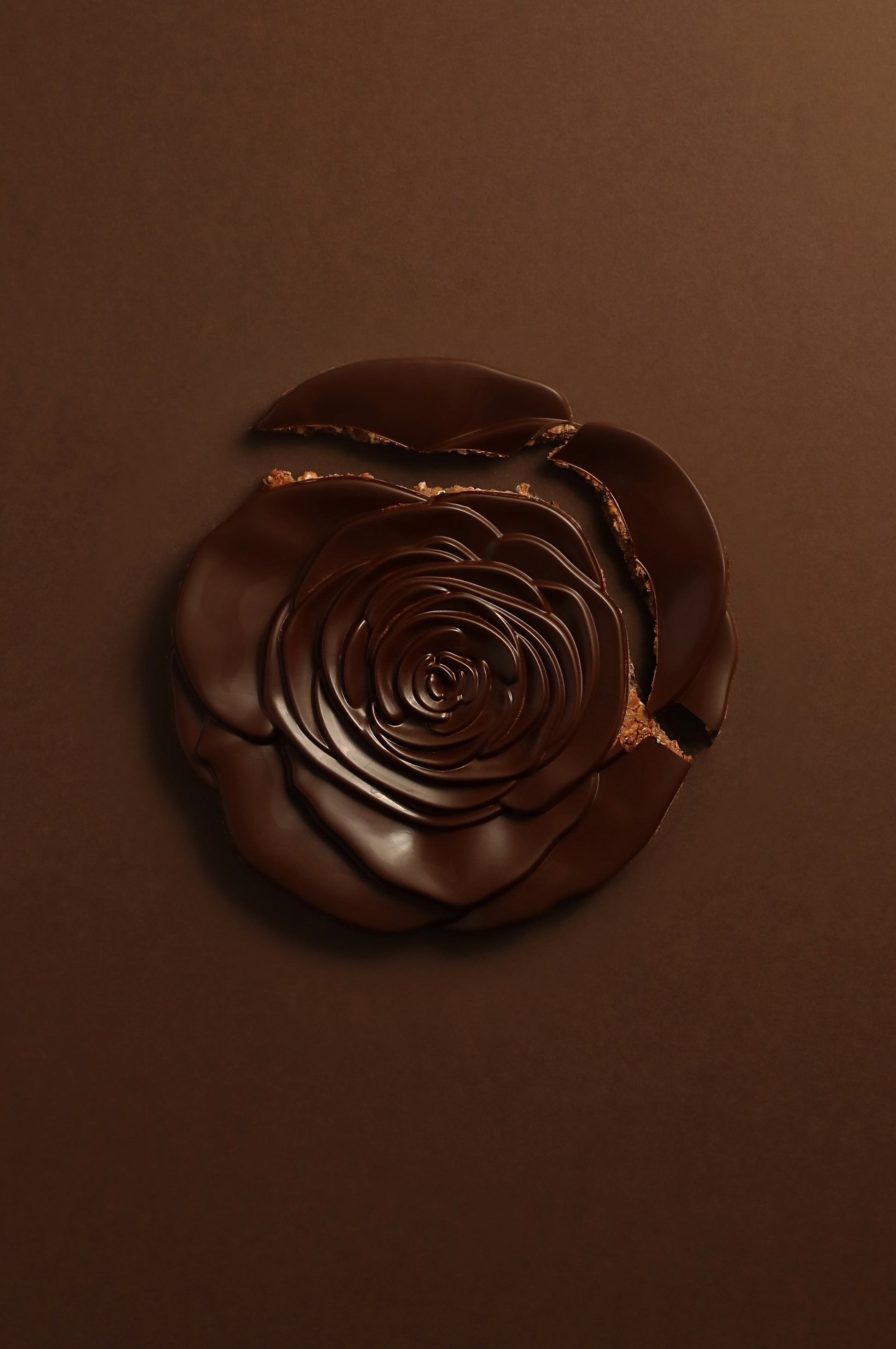 Rose des Sables chocolat noir