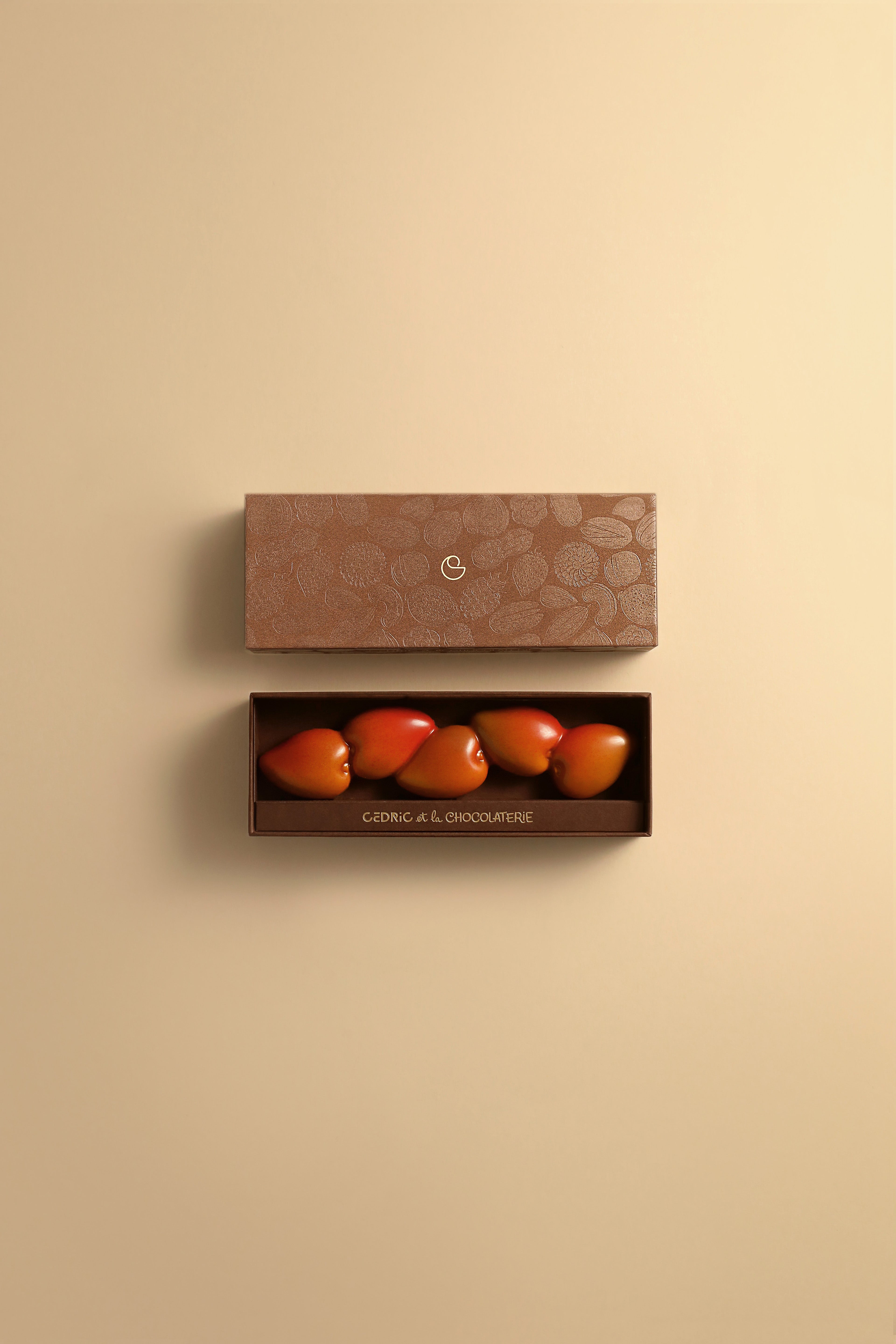 Chocolate bars | Cedric et la Chocolaterie