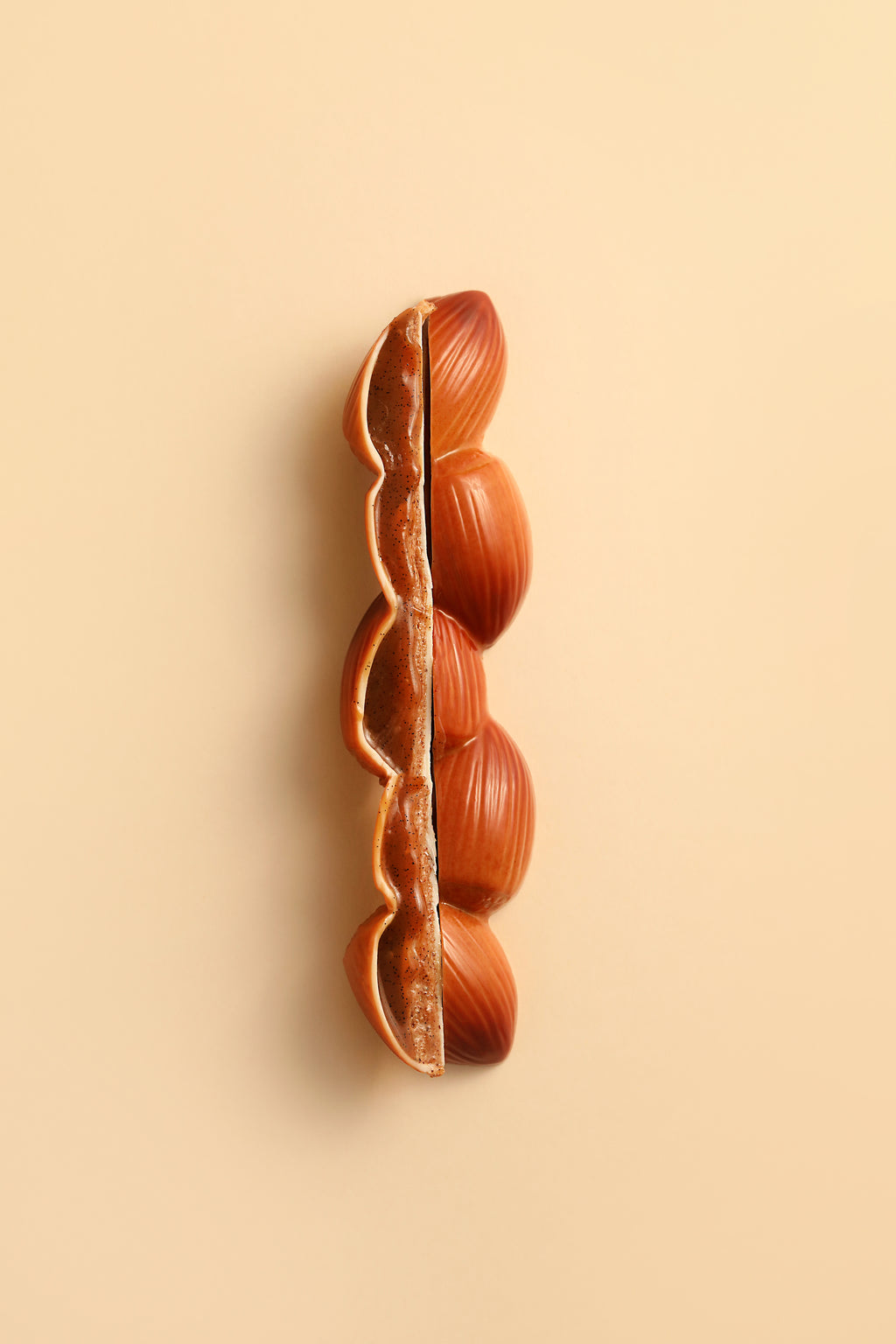 Barre noisette chocolat blanc
