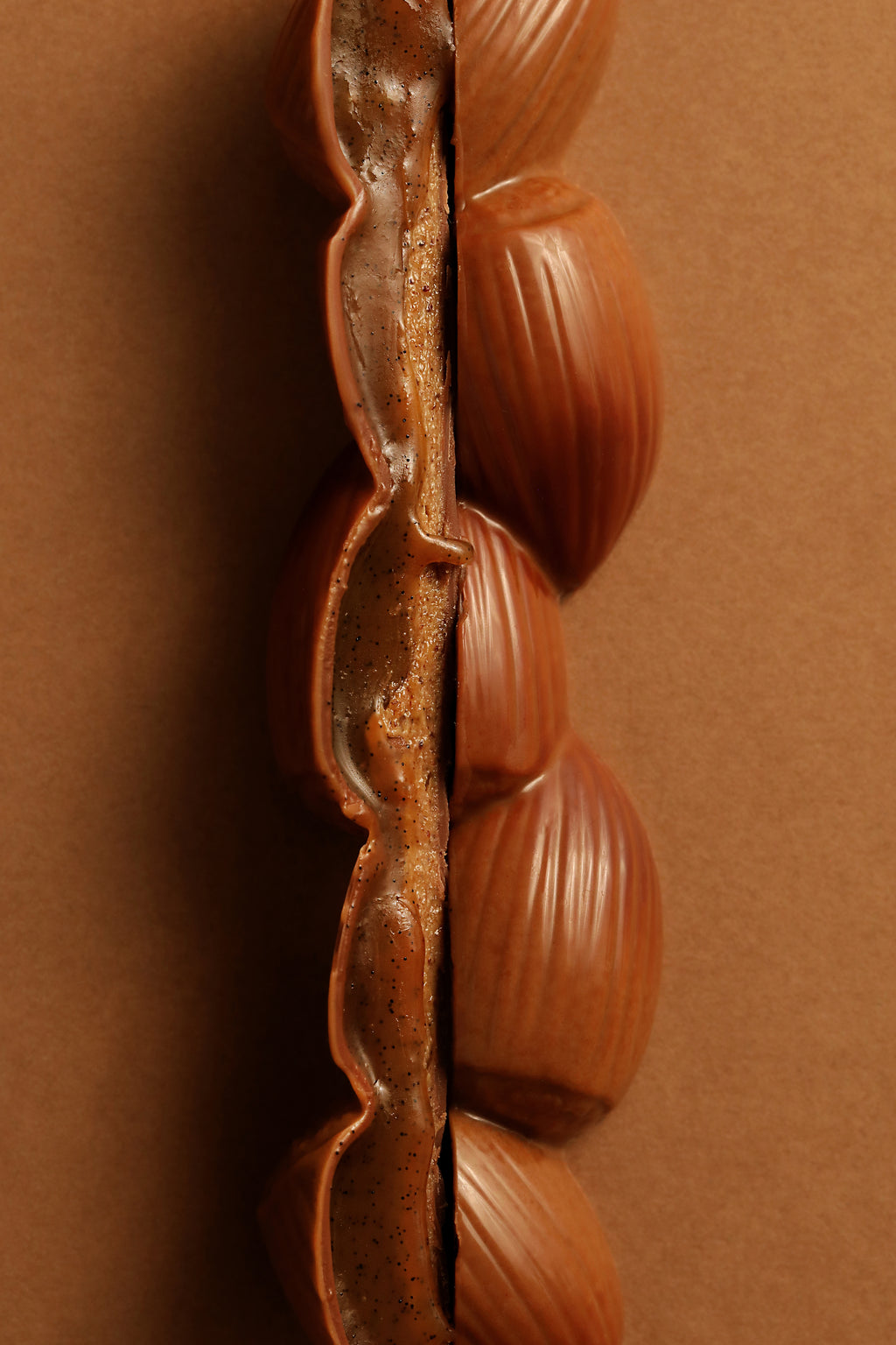 Barre noisette chocolat au lait