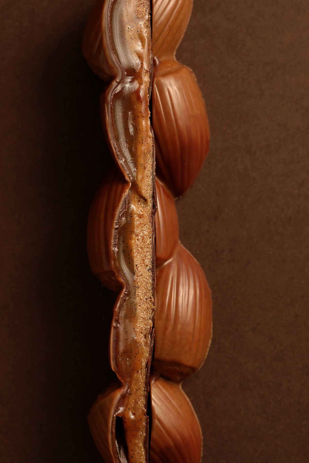 Barre noisette chocolat noir