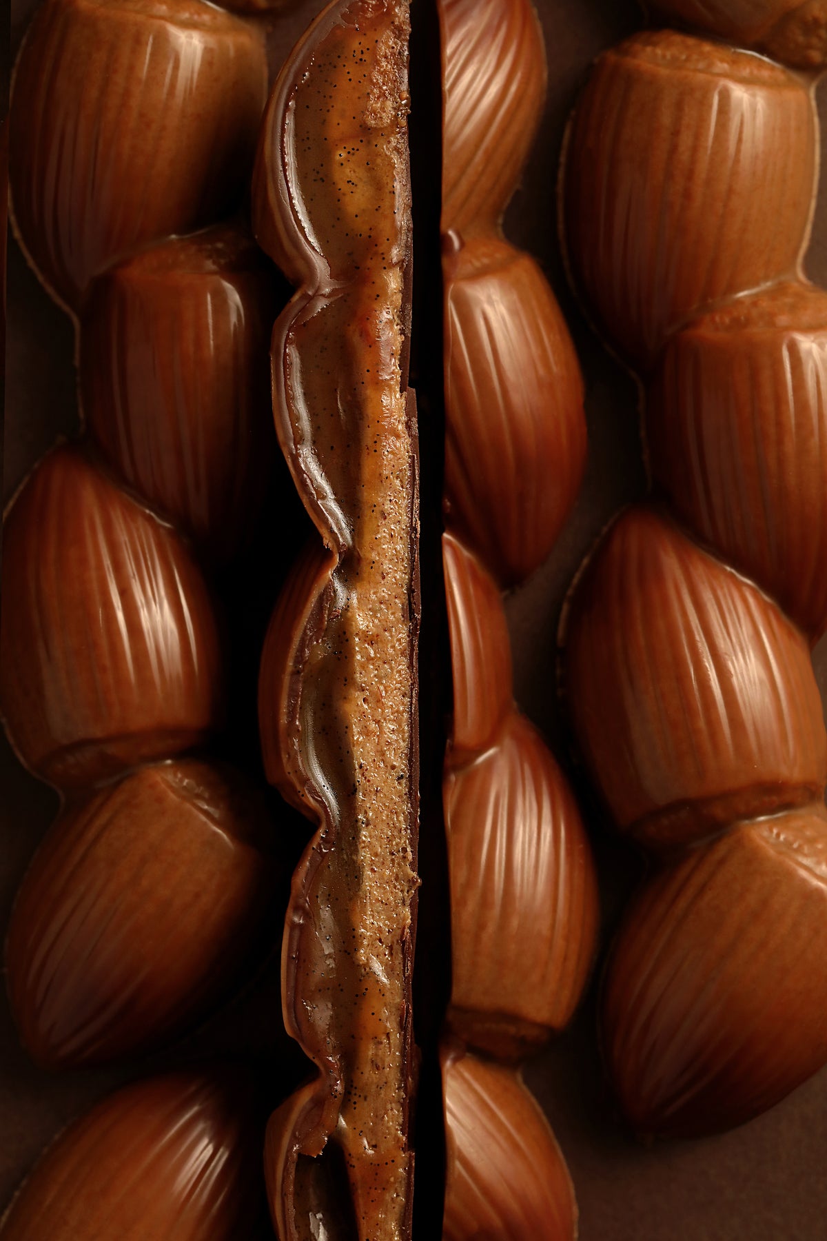 Barre noisette chocolat noir
