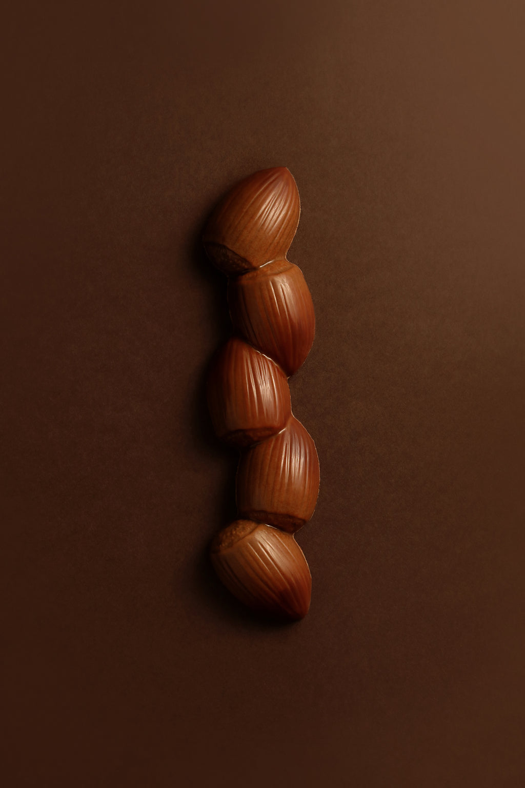 Barre noisette chocolat noir