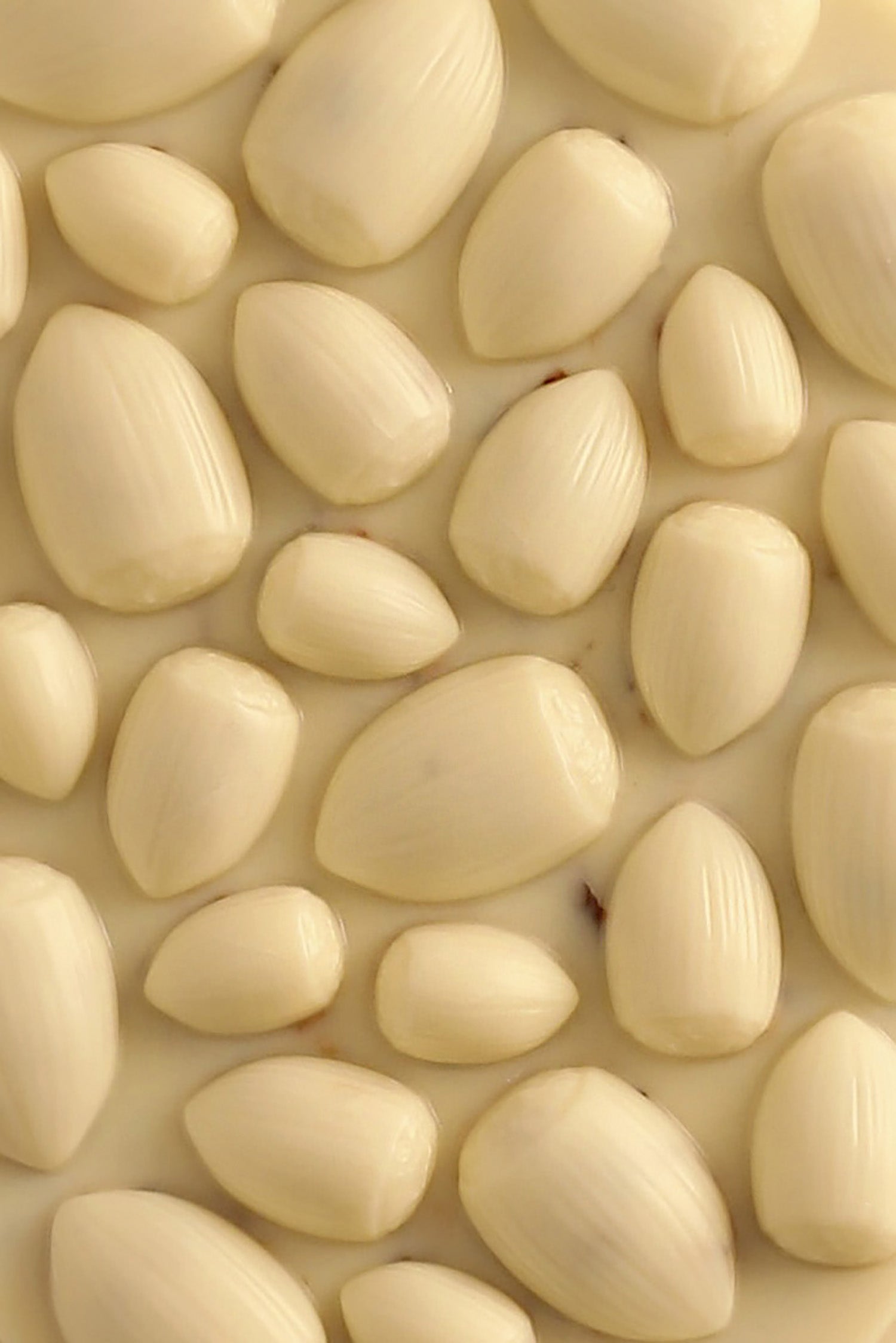 Mendiant hazelnut white chocolate tablet