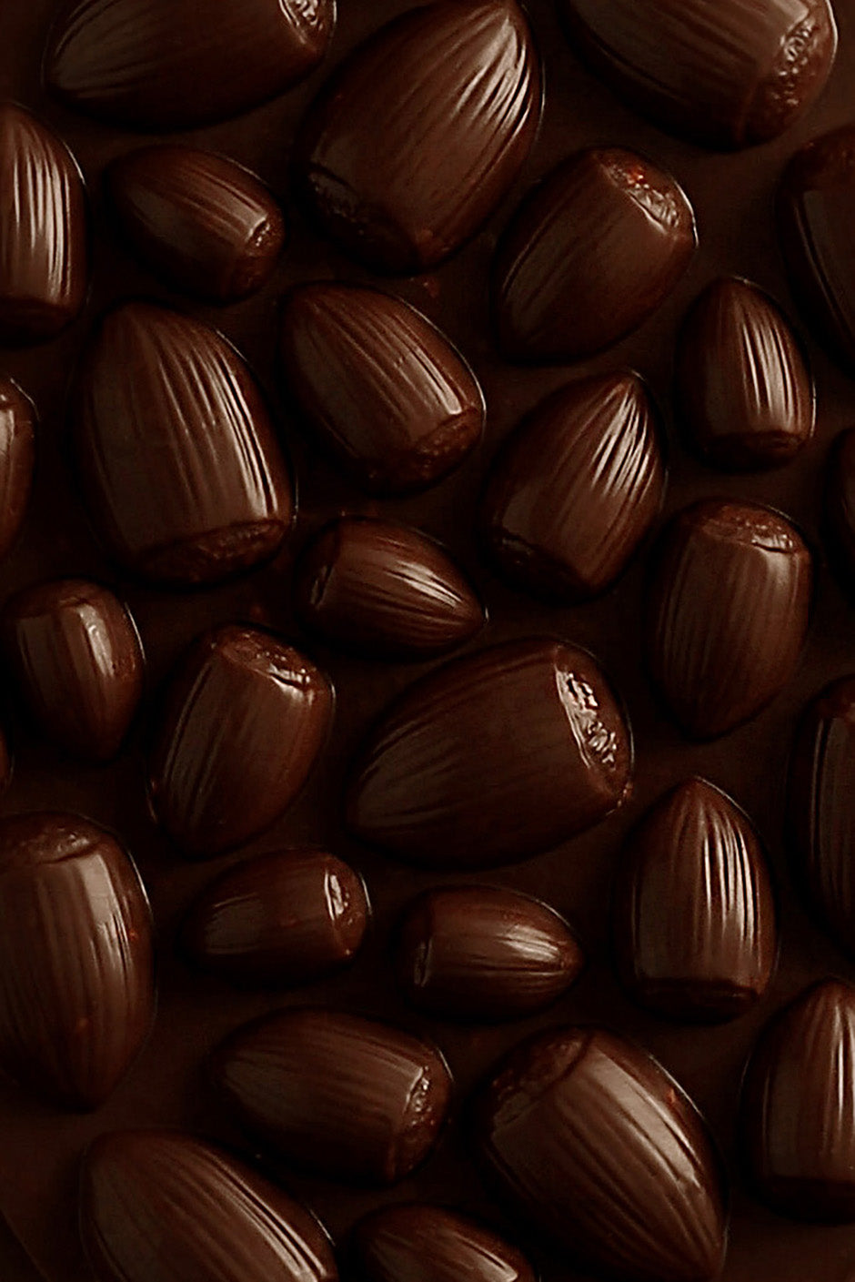 Mendiant hazelnut dark chocolate tablet
