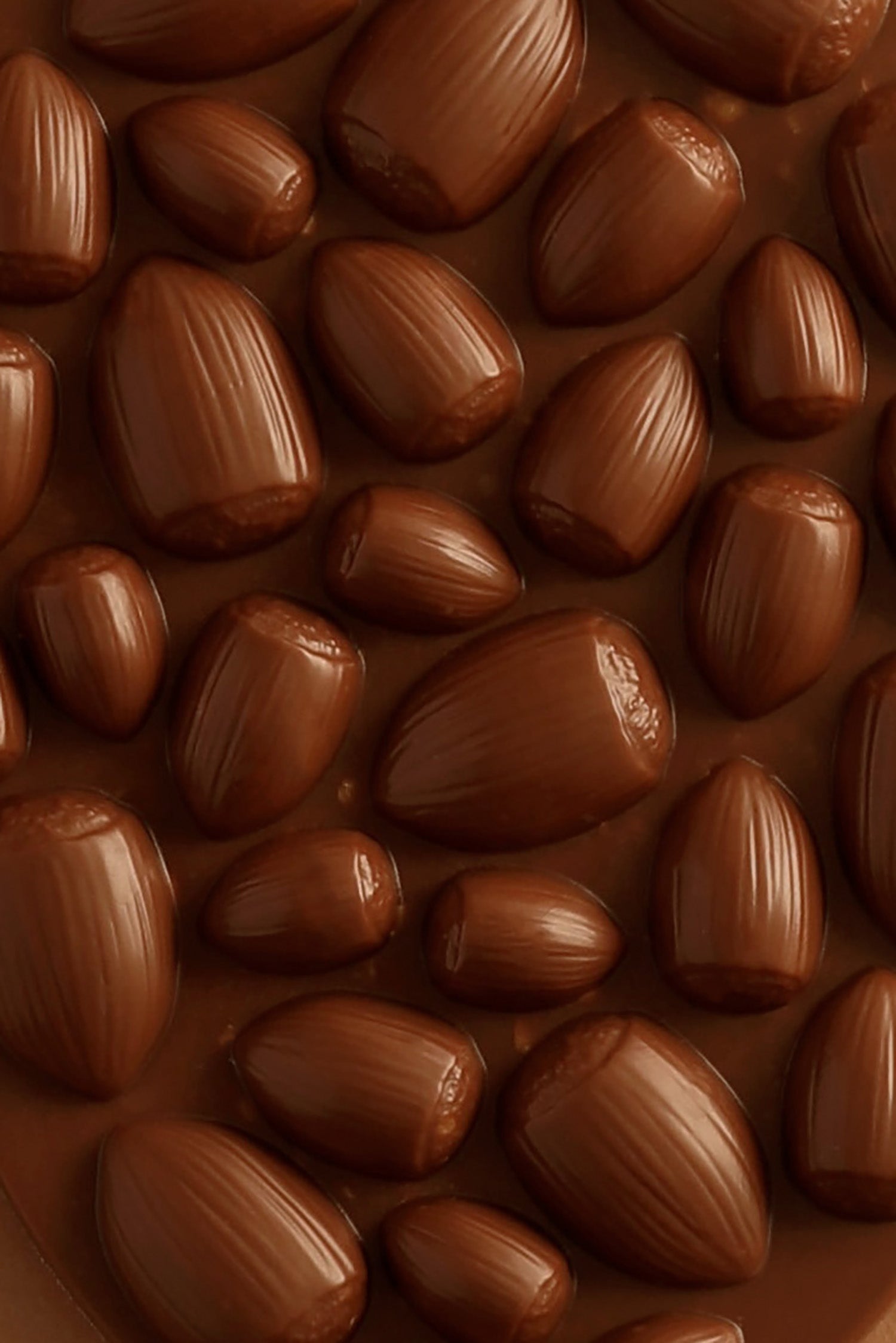 Milk chocolate hazelnut mendiant tablet