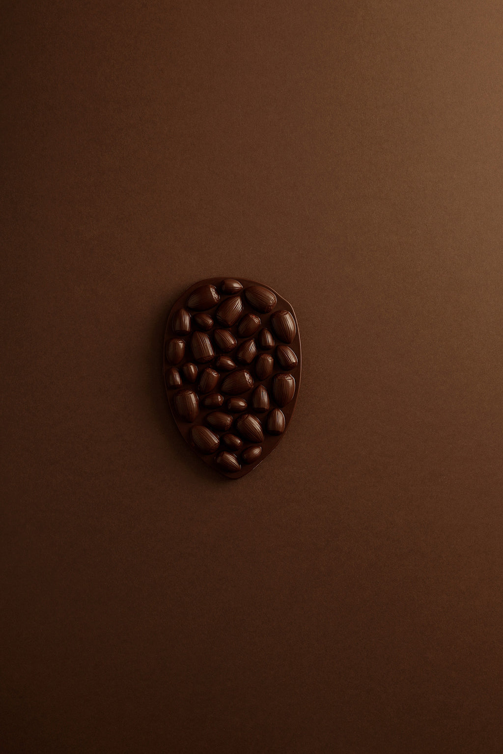 Mendiant hazelnut dark chocolate tablet