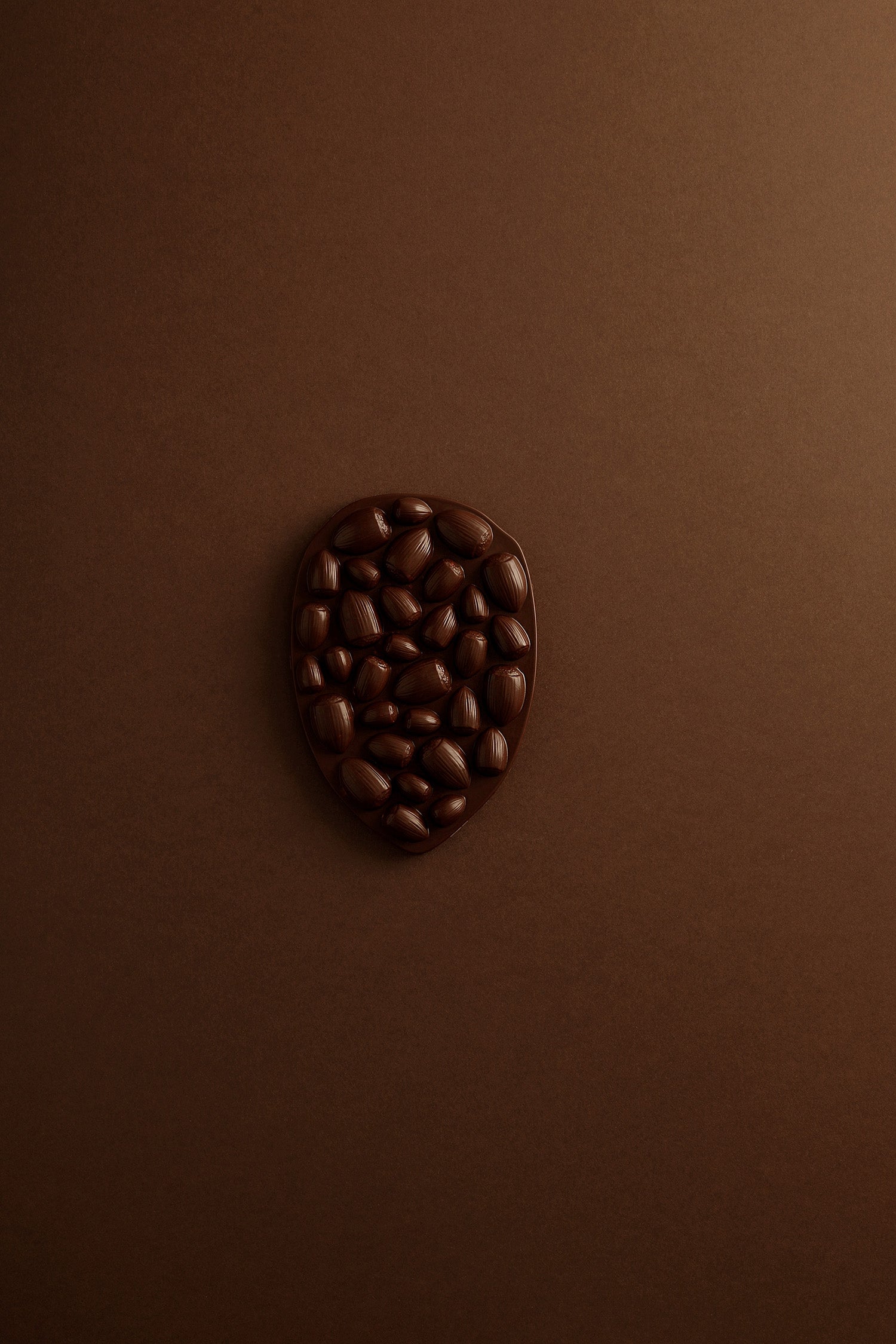 Mendiant hazelnut dark chocolate tablet